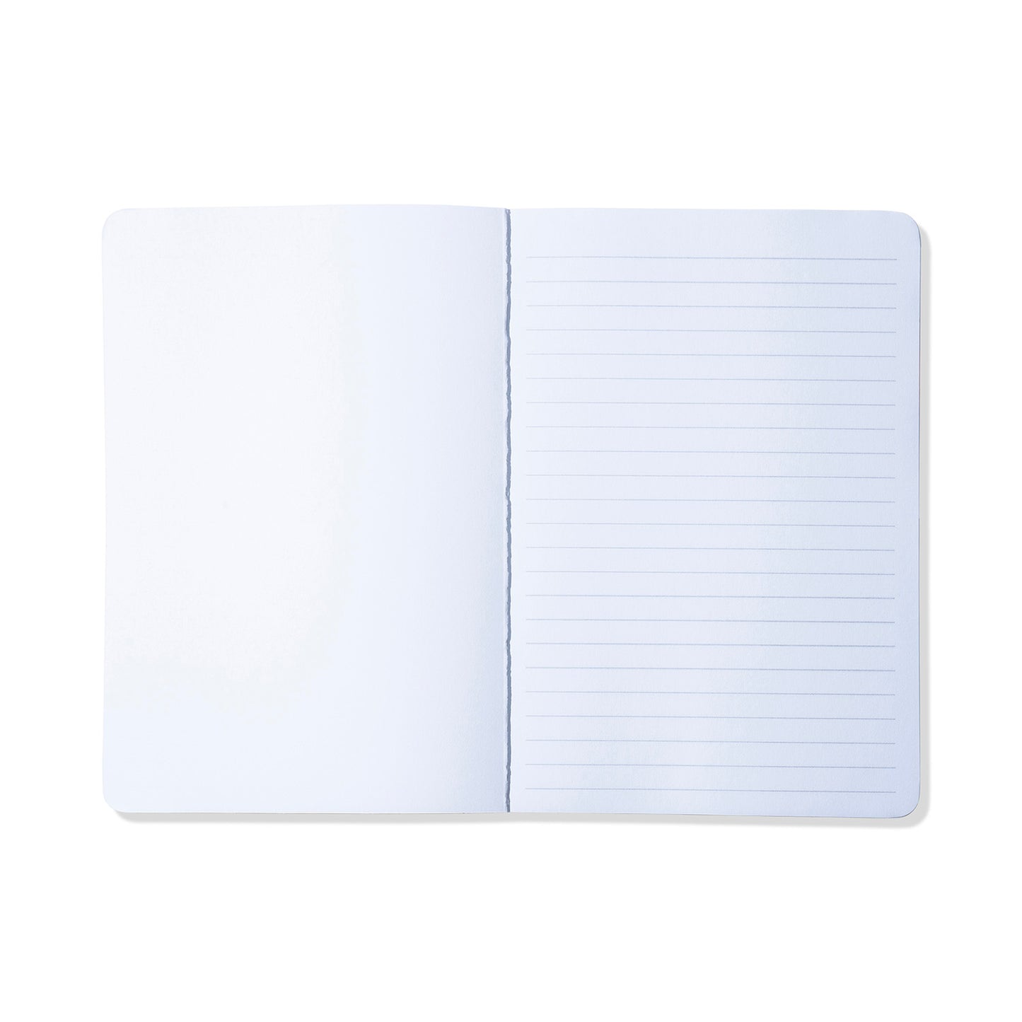 ASSC Strange Days Notebook