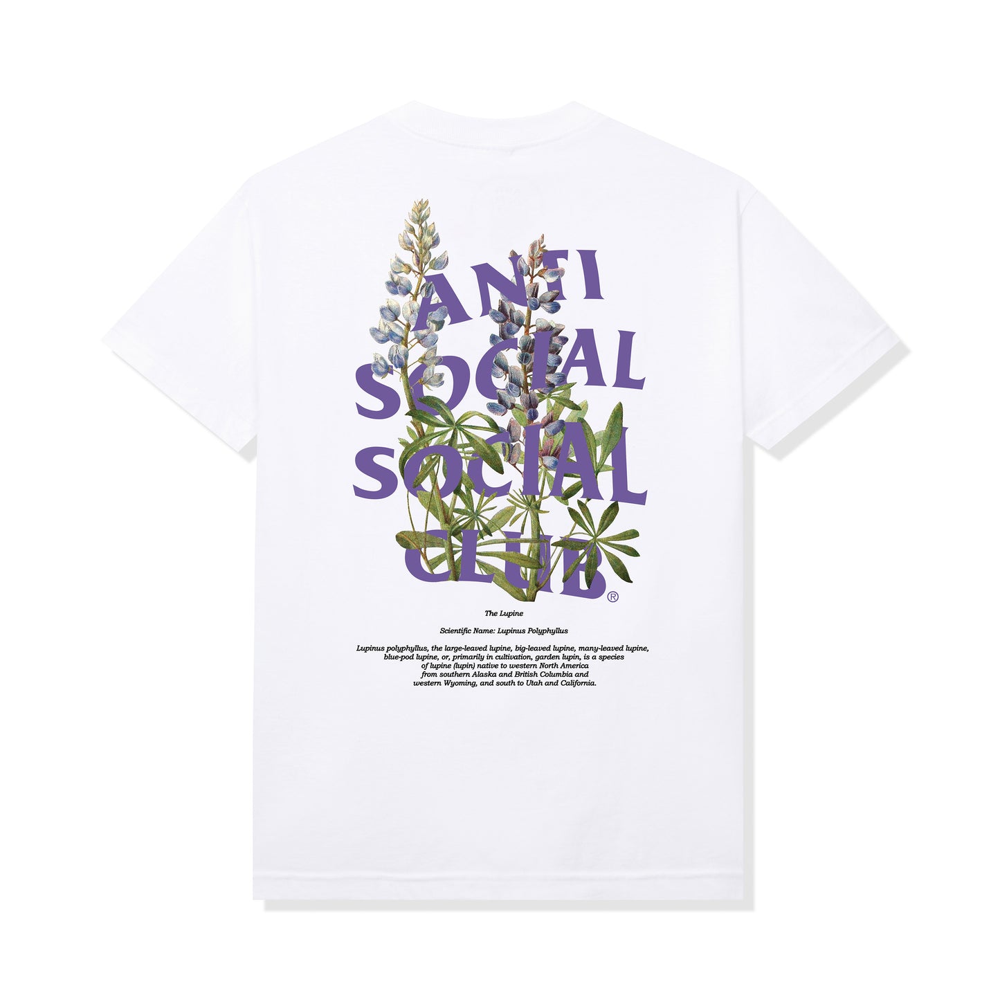 Lupine Tee