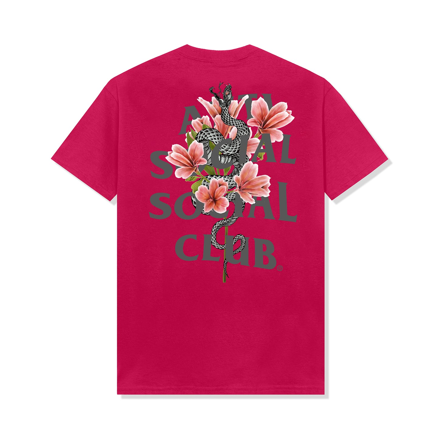 Hokkaido Tee - Sangria
