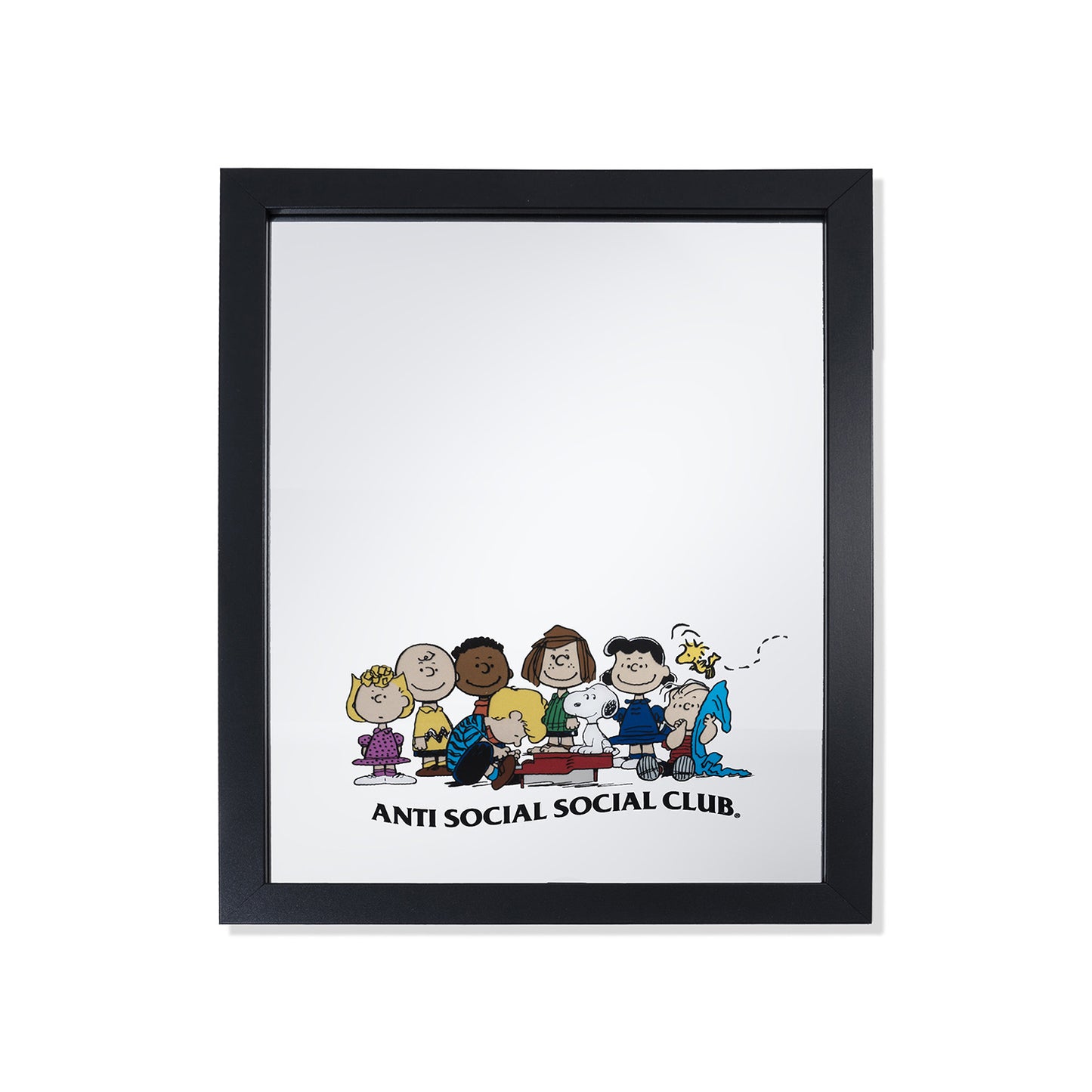 ASSC x Peanuts Gang Screen Printed Mirror 15x26