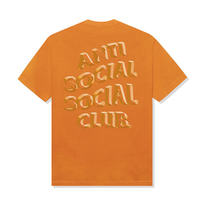 Orange sherbet tee, large ASSC graphic, back