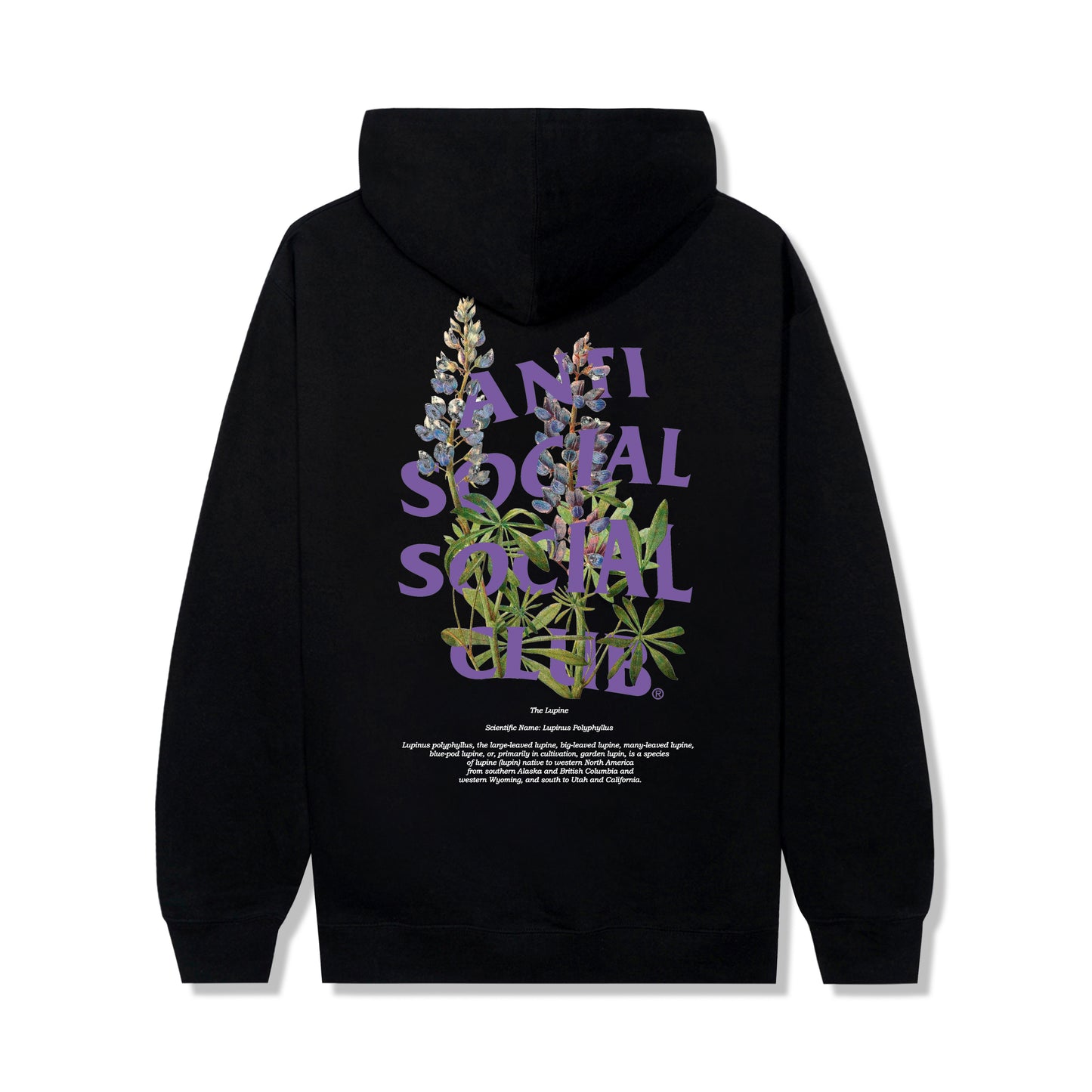 Lupine Hoodie