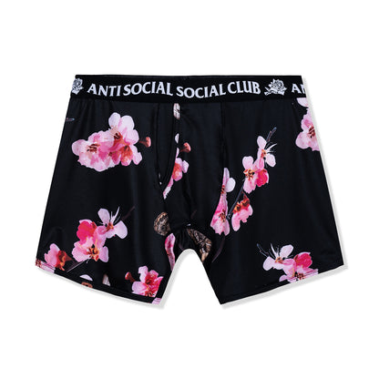 Pay No Attention Boxer Briefs 3-Pack