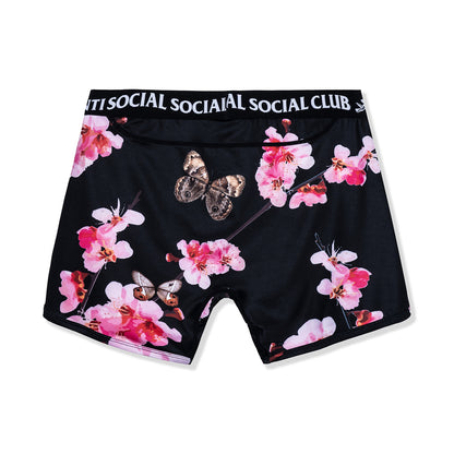 Pay No Attention Boxer Briefs 3-Pack