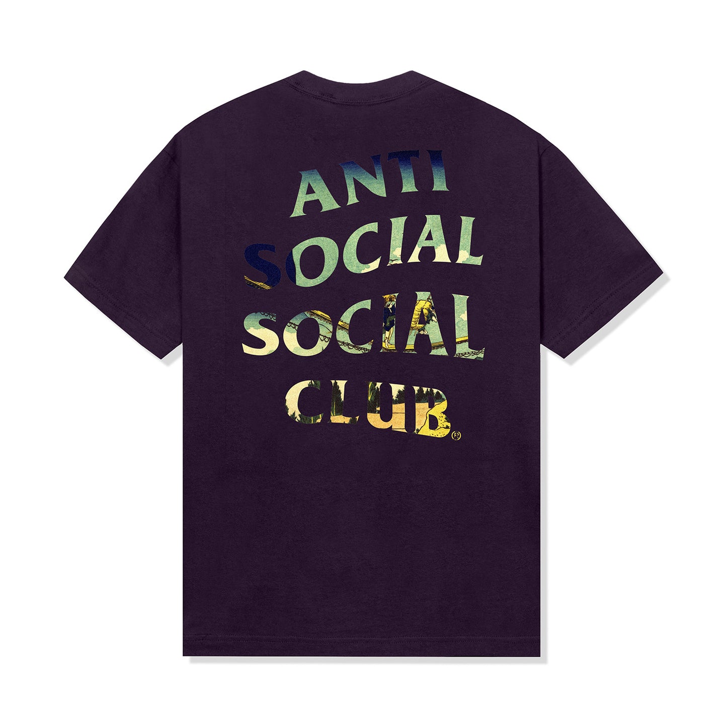 ASSC Suspension Bridge Tee