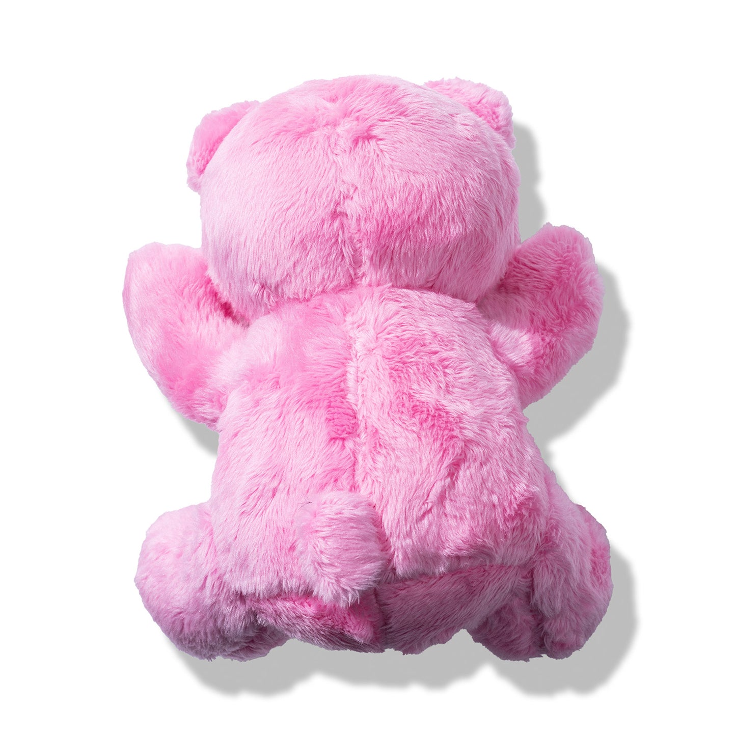 ASSC Window Plush Bear