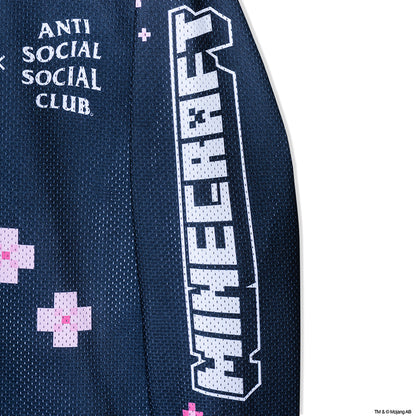 ASSC x Minecraft Cherry Blossom Jersey