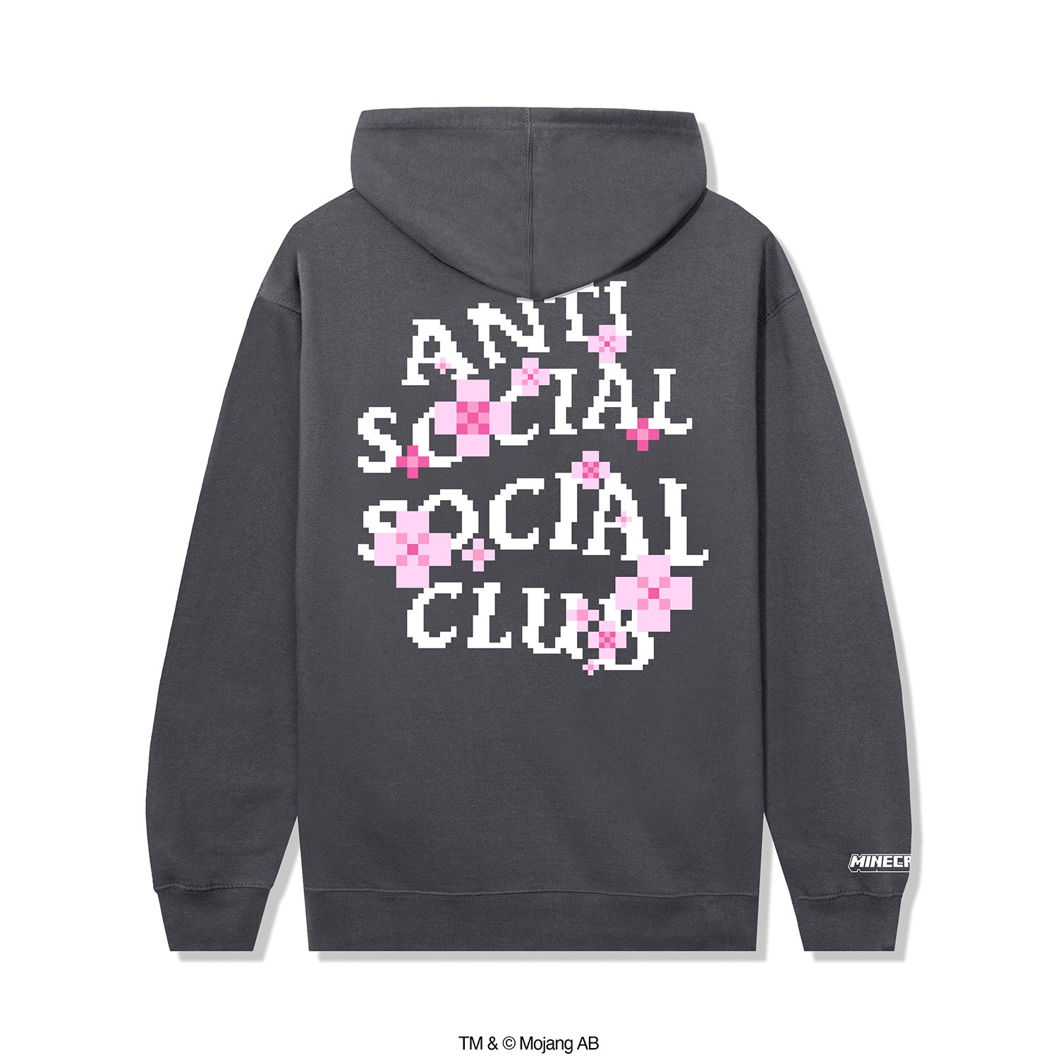 ASSC x MINECRAFT