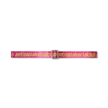 See Right Thru Me Pink Belt