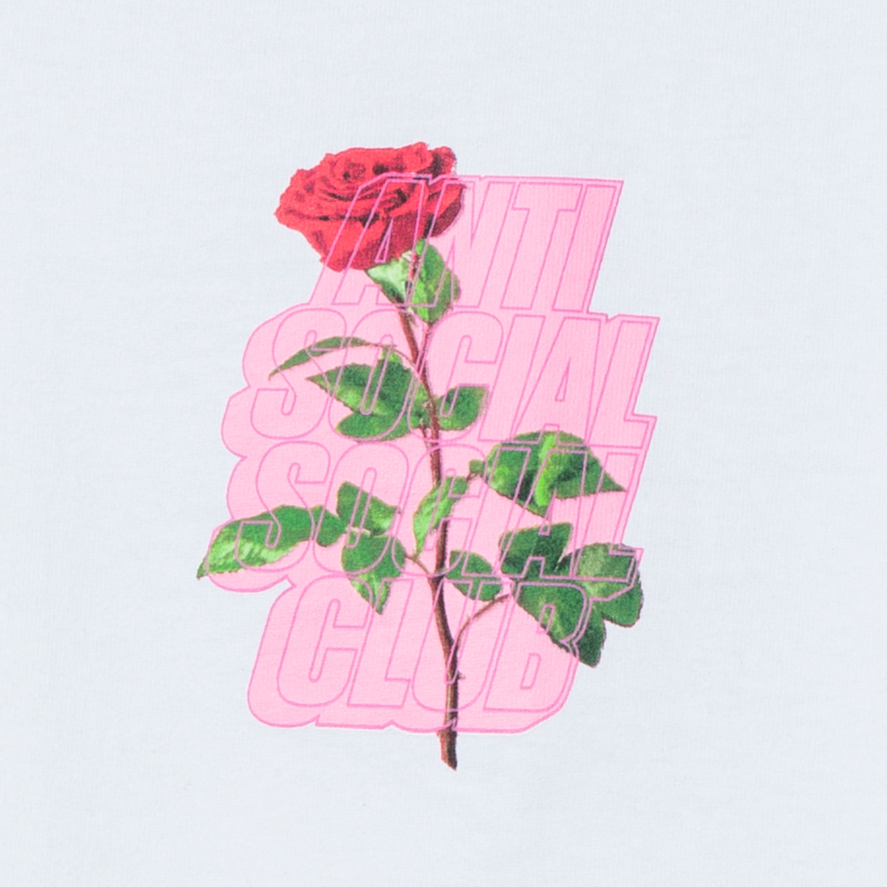 Plant Me White Tee
