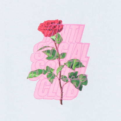 Plant Me White Tee