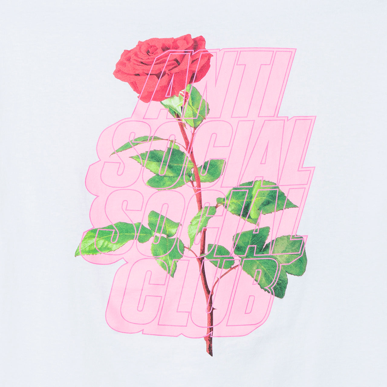 Plant Me White Tee