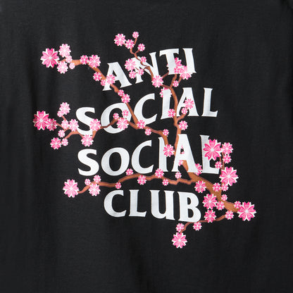 Cherry Blossum Black Tee